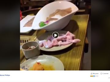 Pollo moviéndose de la mesa Pollo moviéndose de la mesa