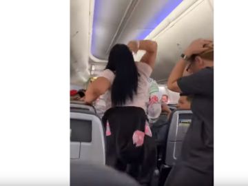 Agresión viral en pleno vuelo