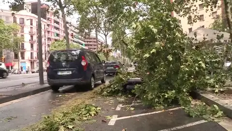 La lluvia deja 47 litros en Barcelona, el mayor registro de la jornada La lluvia deja 47 litros en Barcelona, el mayor registro de la jornada