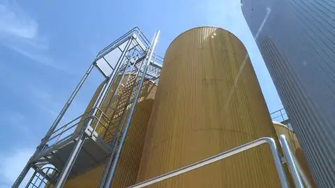 De la cocción al envasado, así es el proceso de elaboración de la cerveza De la cocción al envasado, así es el proceso de elaboración de la cerveza