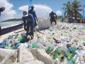 Luchan contra el plástico transformando sus restos en bañadores, bolsos o cepillos de dientes 