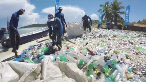 Luchan contra el plástico transformando sus restos en bañadores, bolsos o cepillos de dientes Luchan contra el plástico transformando sus restos en bañadores, bolsos o cepillos de dientes