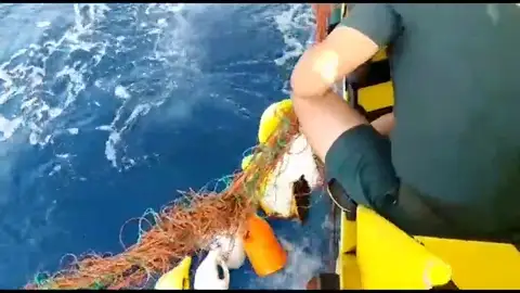 Localizan una tortuga enredada en un palange en Fuerteventura Localizan una tortuga enredada en un palange en Fuerteventura