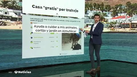 Los sindicatos alertan de las ofertas de trabajo a cambio de alojamiento Los sindicatos alertan de las ofertas de trabajo a cambio de alojamiento