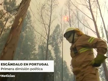 Dimite un alto cargo en Portugal por la compra de lotes antiicendios