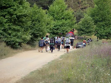 Campamentos de verano Campamentos de verano