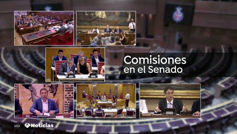 El PSOE presidirá 28 de las 29 comisiones del senado 