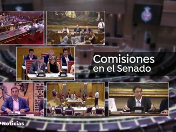 El PSOE presidirá 28 de las 29 comisiones del senado 