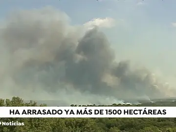 El fuego de Barchín del Hoyo podría quedar controlado este miércoles y ya ha afectado 1.500 hectáreas El fuego de Barchín del Hoyo podría quedar controlado este miércoles y ya ha afectado 1.500 hectáreas
