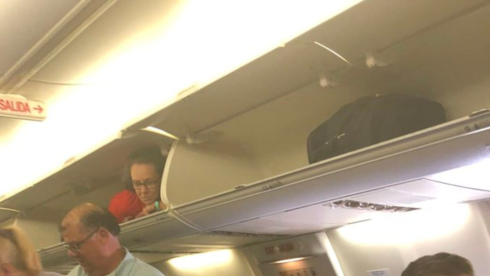 Imagen de la afazata de Southwest Airlines