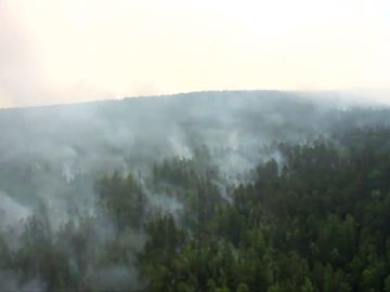 Vladimir Putin pide al Ejército ruso que ayude en la extinción de los incendios que han asolado 2,3 millones de hectáreas