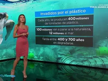 TIEMPO-datossobreplastico TIEMPO-datossobreplastico