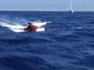Los delfines escoltan al 'Astral', el barco que salva a los refugiados del Mediterráneo 