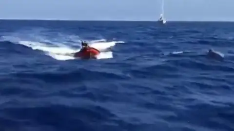 Los delfines escoltan al 'Astral', el barco que salva a los refugiados del Mediterráneo Los delfines escoltan al 'Astral', el barco que salva a los refugiados del Mediterráneo