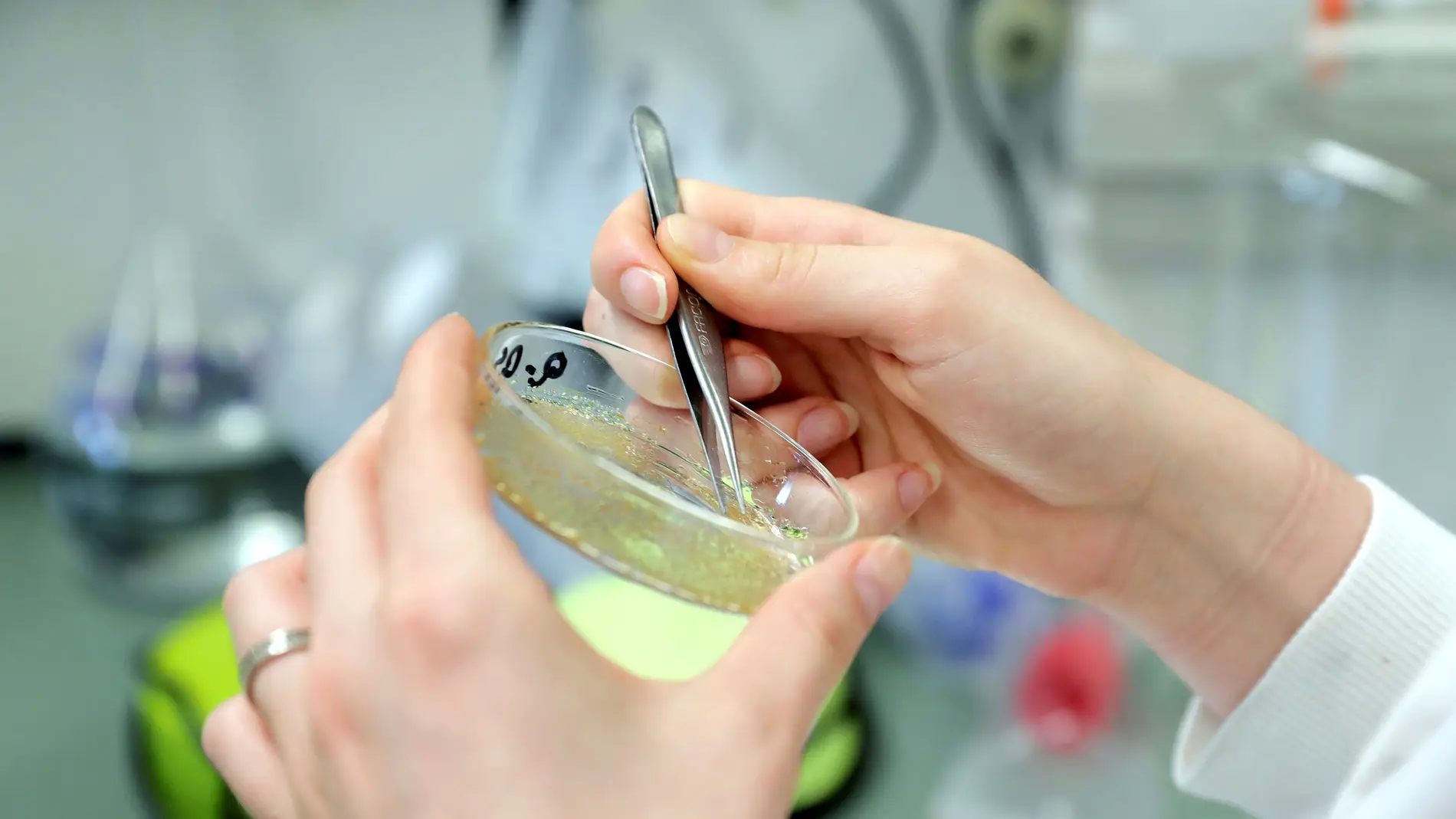 Una científica examina una muestra de laboratorio