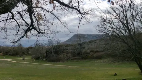 Soria Soria