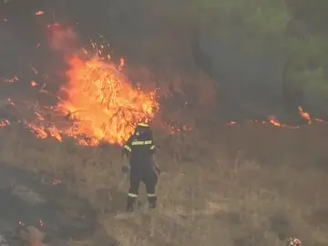 Los bomberos continúan luchando por extinguir el incendio en la isla griega de Eubea Los bomberos continúan luchando por extinguir el incendio en la isla griega de Eubea
