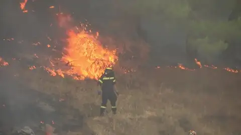 Los bomberos continúan luchando por extinguir el incendio en la isla griega de Eubea Los bomberos continúan luchando por extinguir el incendio en la isla griega de Eubea