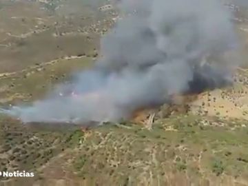 Desalojadas 40 persona por un incendio forestal en El Madroño, en Sevilla