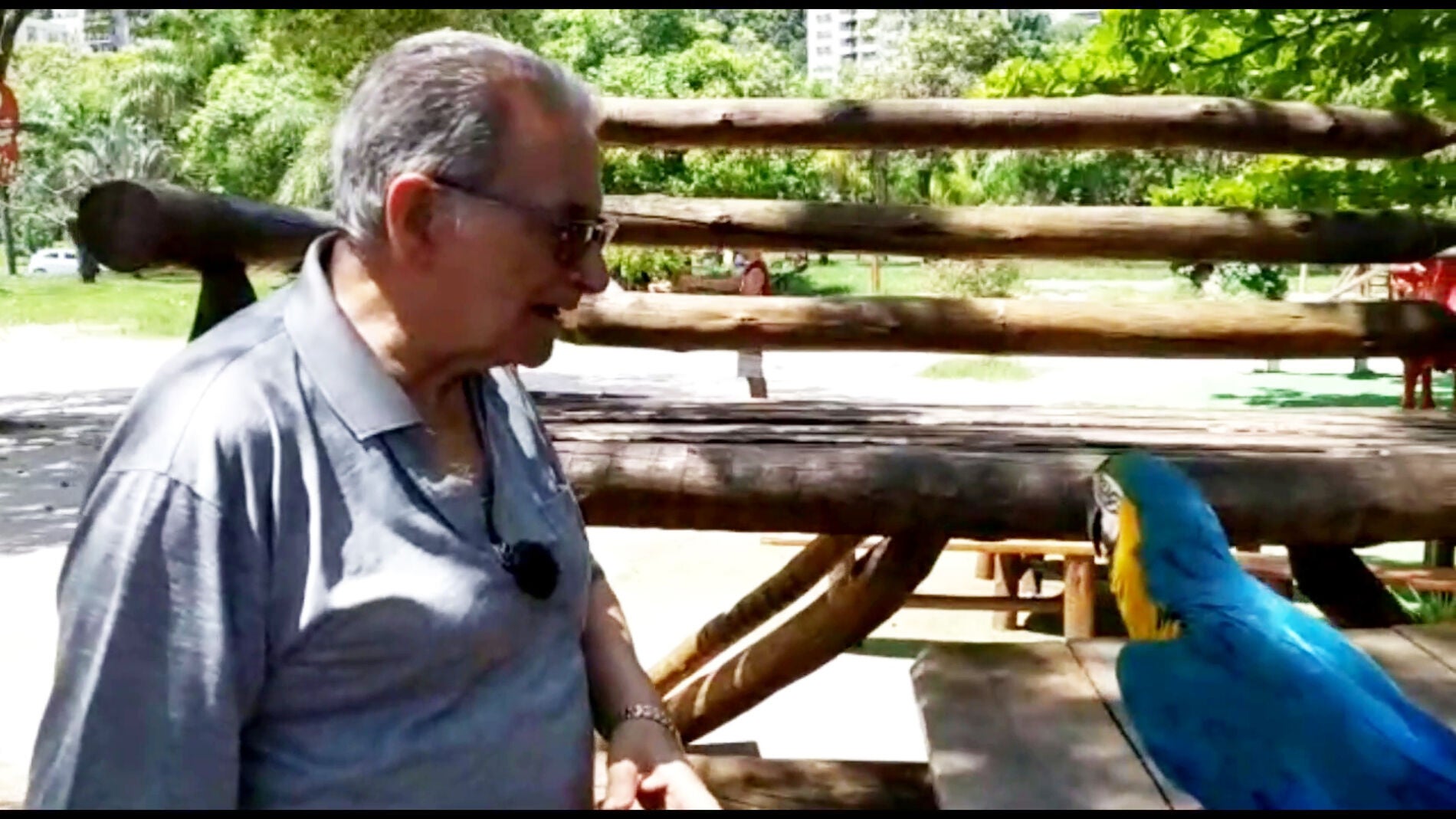 Francisco con loros en 'Por el mundo a los 80'