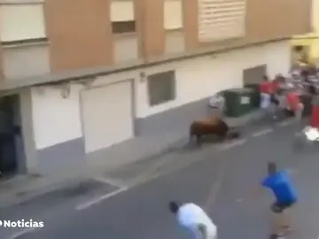Un hombre muere por una cornada en el Torico de la Cuerda de Chiva Un hombre muere por una cornada en el Torico de la Cuerda de Chiva