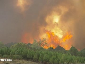 ¿Cómo trabajan los encargados de investigar las causas de los incendios?