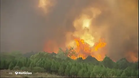 ¿Cómo trabajan los encargados de investigar las causas de los incendios? ¿Cómo trabajan los encargados de investigar las causas de los incendios?