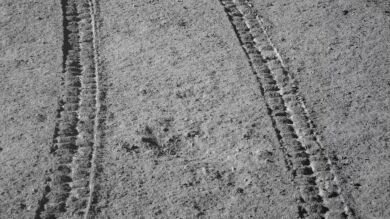 Difunden imágenes inéditas de la cara oculta de la Luna