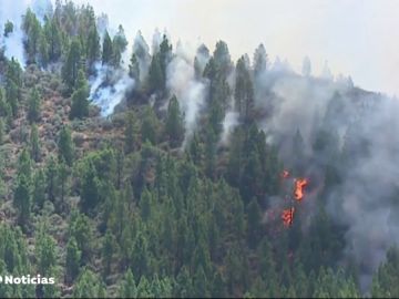 El viento y el calor vuelven a reactivar la alerta por incendios en Canarias El viento y el calor vuelven a reactivar la alerta por incendios en Canarias