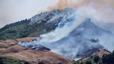 Incendio en la isla de Gran Canaria Incendio en la isla de Gran Canaria