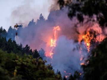 Un dispositivo de emergencia trabaja en la extinción de un incendio en el municipio de grancanario de Valleseco