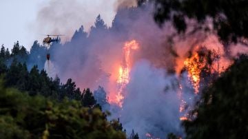 Un dispositivo de emergencia trabaja en la extinción de un incendio en el municipio de grancanario de Valleseco Un dispositivo de emergencia trabaja en la extinción de un incendio en el municipio de grancanario de Valleseco