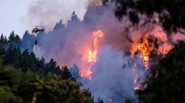Antena 3 Noticias Fin de Semana (18-08-19) Continúan las evacuaciones por el incendio forestal de Gran Canaria que ya afecta a más de 1.500 hectáreas Antena 3 Noticias Fin de Semana (18-08-19) Continúan las evacuaciones por el incendio forestal de Gran Canaria que ya afecta a más de 1.500 hectáreas