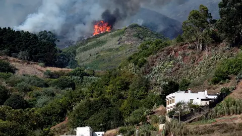 El incendio forestal que comenzó el sábado en la isla española de Gran Canaria El incendio forestal que comenzó el sábado en la isla española de Gran Canaria