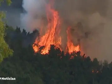 nueva incendio nueva incendio