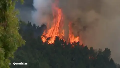 nueva incendio nueva incendio