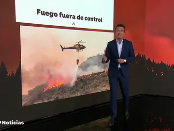 RATONERA PARA LOS SERVICIOS DE EXTINCIÃN RATONERA PARA LOS SERVICIOS DE EXTINCIÃN