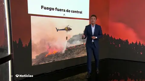 RATONERA PARA LOS SERVICIOS DE EXTINCIÃN RATONERA PARA LOS SERVICIOS DE EXTINCIÃN