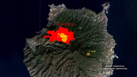 Canarias sufre los efectos de tres incendios en poco más de una semana Canarias sufre los efectos de tres incendios en poco más de una semana