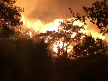 La Policía Nacional detiene a un hombre como autor del incendio de Estepona cuando intentaba quemar una colmena La Policía Nacional detiene a un hombre como autor del incendio de Estepona cuando intentaba quemar una colmena
