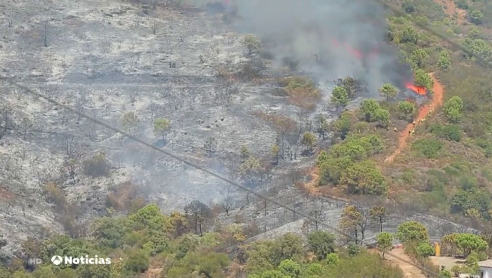 Unas 50 personas, evacuadas por el fuego en Estepona