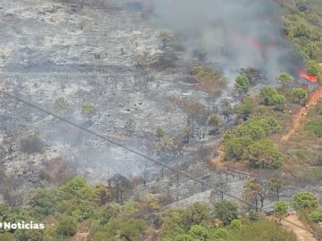Unas 50 personas, evacuadas por el fuego en Estepona