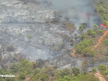 Unas 50 personas, evacuadas por el fuego en Estepona Unas 50 personas, evacuadas por el fuego en Estepona