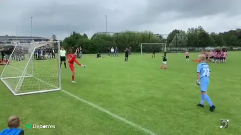 psv psv