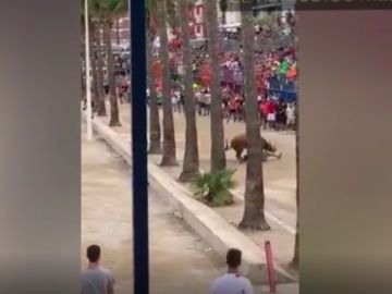 El toro invistió a un joven en una corrida de Benicarló
