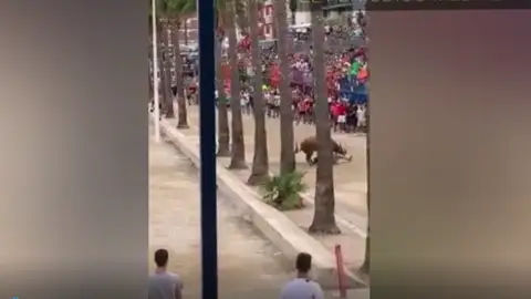 El toro invistió a un joven en una corrida de Benicarló El toro invistió a un joven en una corrida de Benicarló