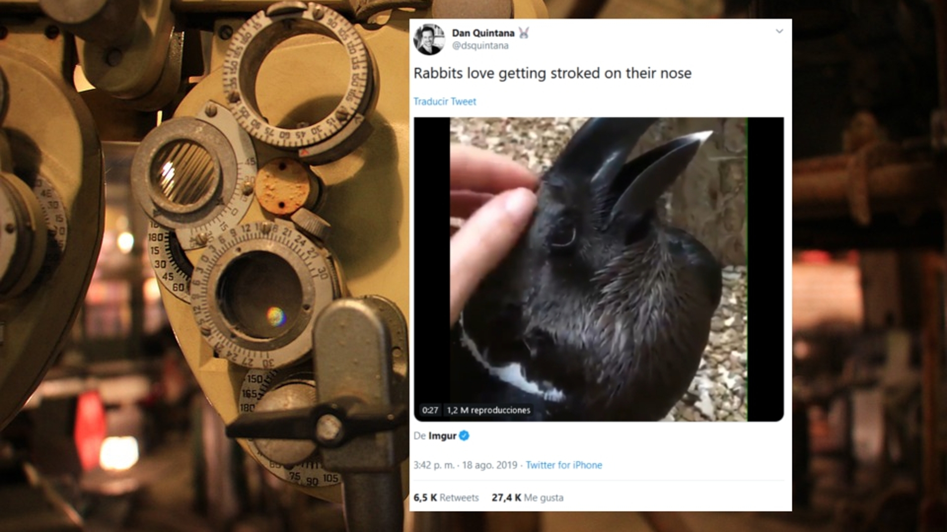 ¿Es un conejo o un cuervo?