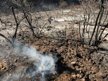 Incendios en Gran Canaria