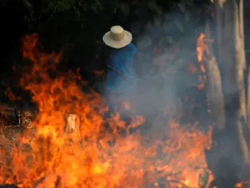 Incendios en el Amazonas Incendios en el Amazonas
