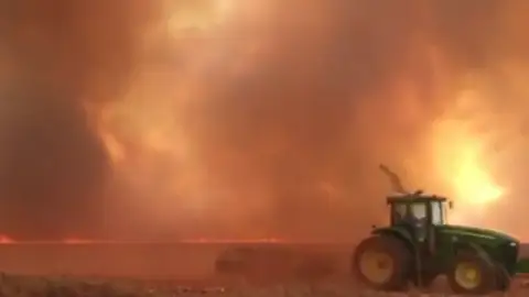 Brasil vive su peor oleada de incendios en cinco años Brasil vive su peor oleada de incendios en cinco años